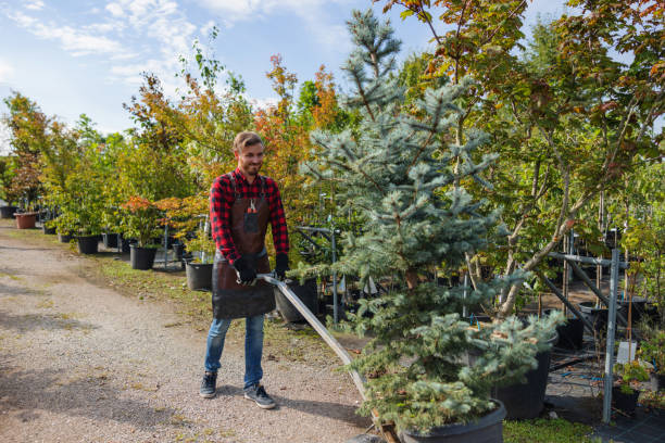 Best Commercial Tree Services  in Shorewood, IL